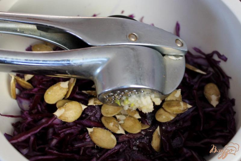 Фото приготовление рецепта: Салат из красной капусты с чесноком и семечками шаг №3