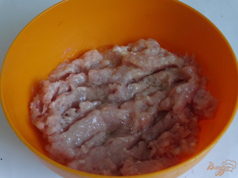 Фото приготовление рецепта: Домашние горчичные сосиски из куриного фарша шаг №1