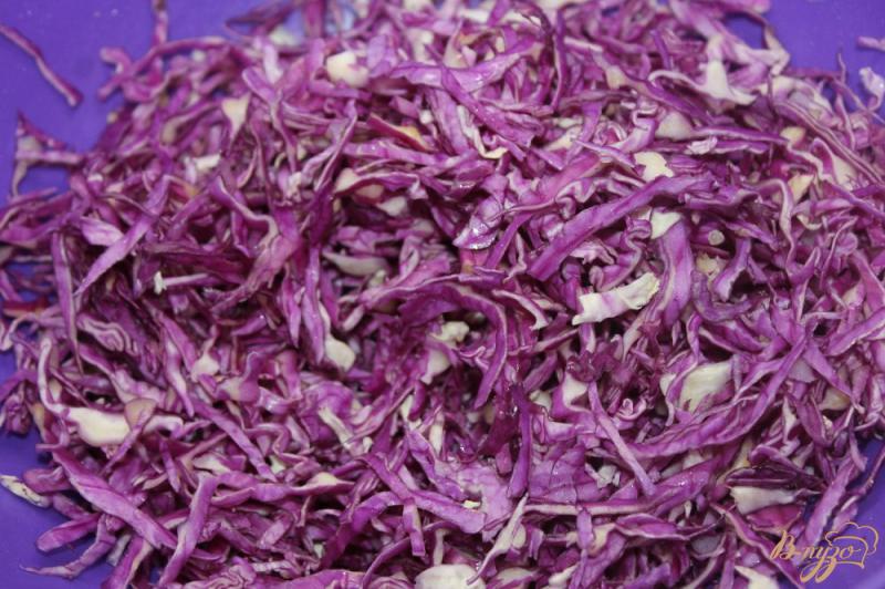 Фото приготовление рецепта: Салат с краснокочанной капусты и ветчины шаг №1