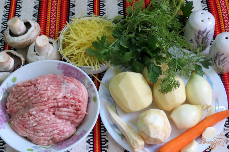 Фото приготовление рецепта: Суп с фрикадельками, шампиньонами и лапшой шаг №1