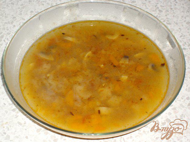 фото рецепта: Сухарный суп с грибами