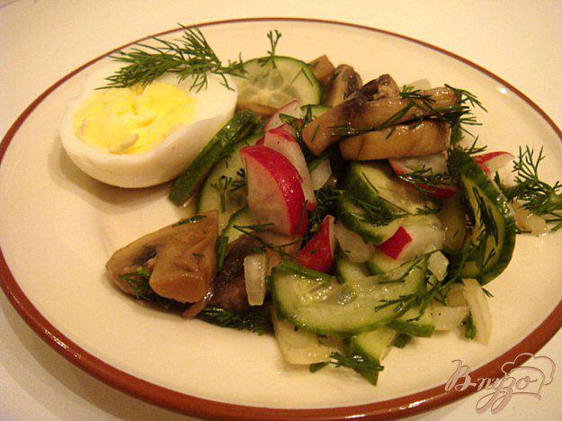 фото рецепта: Салат с жареными грибами и редисом