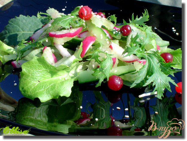 фото рецепта: Легкий салат «Весенняя свежесть»