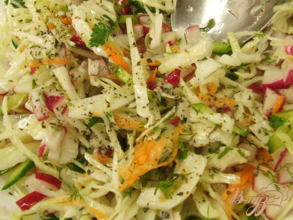 фото рецепта: Салат из весенних овощей + ламинария