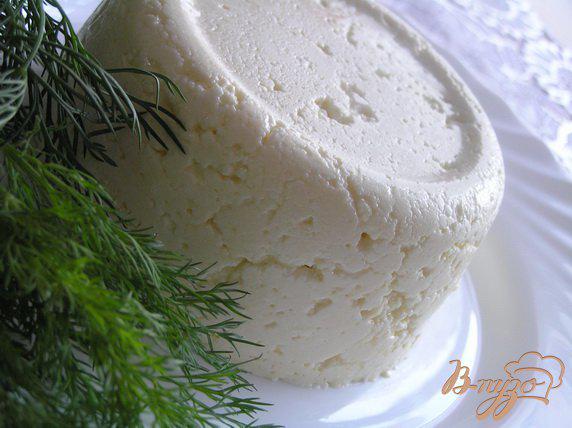 фото рецепта: Домашний адыгейский сыр