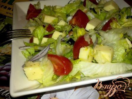 фото рецепта: Салат с айсбергом, помидорами и моцарелой