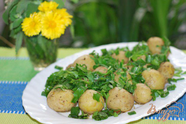 фото рецепта: Картофель с пряными травами в микроволновке.