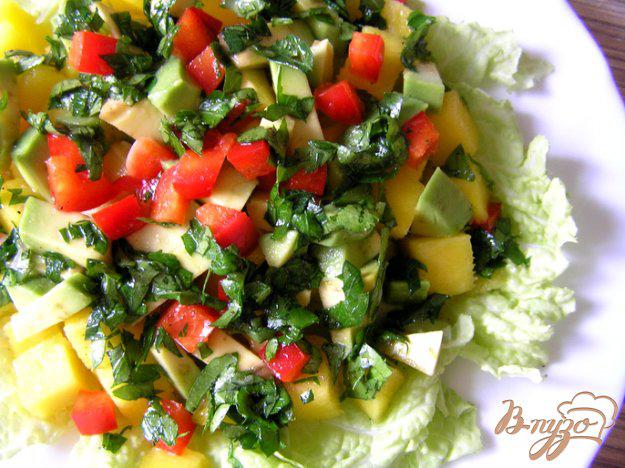 фото рецепта: Салат с манго и авокадо в пикантной заправке