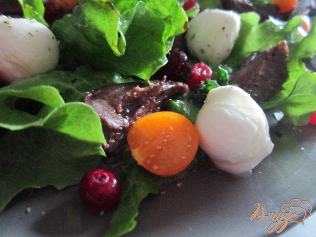 фото рецепта: Салат с гусиными сердечками и клюквой