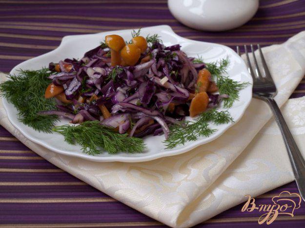 фото рецепта: Салат с опятами и краснокочанной капустой