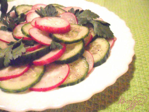 фото рецепта: Салат из редиса и огурцов под восточной заправкой