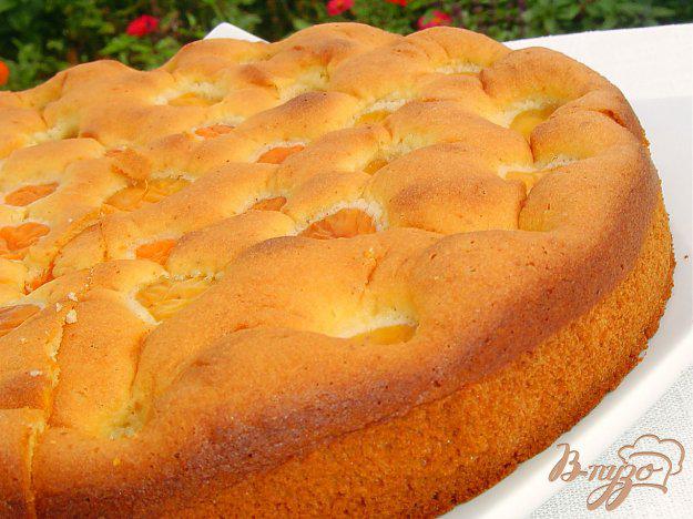 фото рецепта: Бисквитный пирог с медом и абрикосами