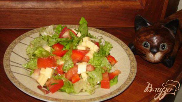 фото рецепта: Витаминный салат с сыром