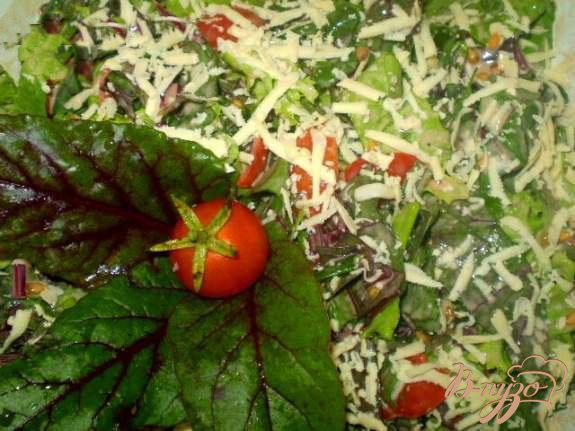фото рецепта: Витаминный салат со свекольной ботвой