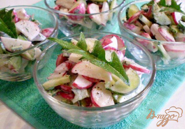 фото рецепта: Овощной салат с листьями одуванчика и сметаной