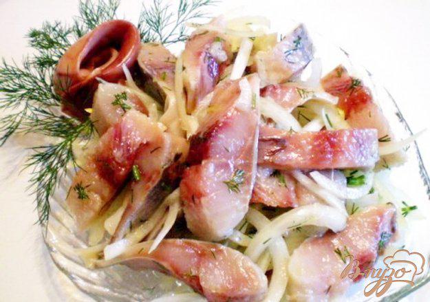 фото рецепта: Сельдь с маринованным луком и укропом в оливковом масле