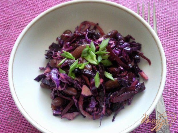 фото рецепта: Салат из краснокочанной капусты с фасоли