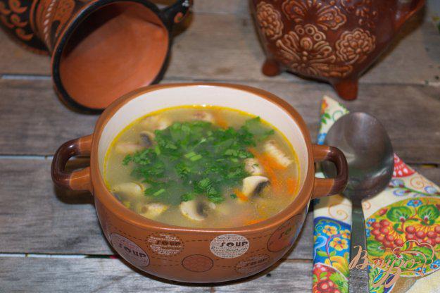 фото рецепта: Овсяный суп с грибами и курицей