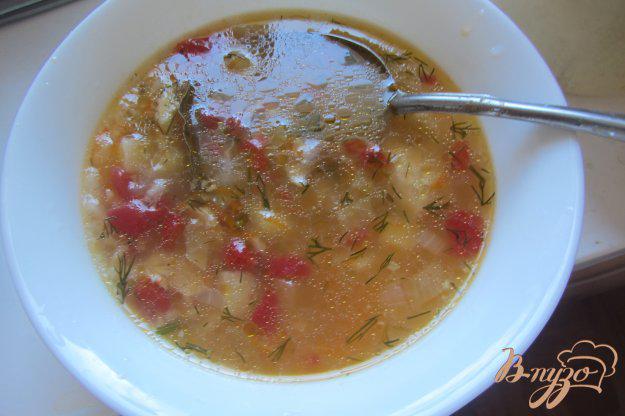фото рецепта: Суп рисовый на индейки с помидорами без зажарки