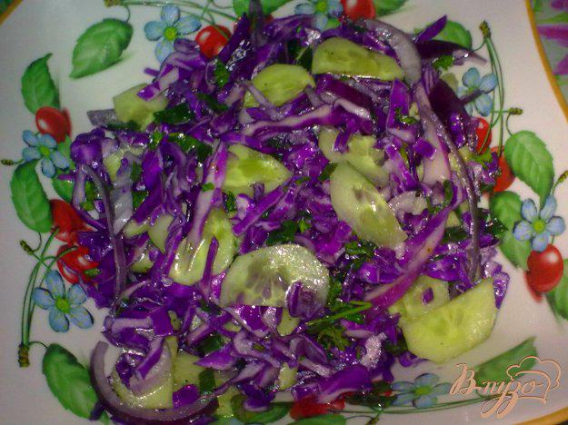 фото рецепта: Салат из краснокочанной капусты