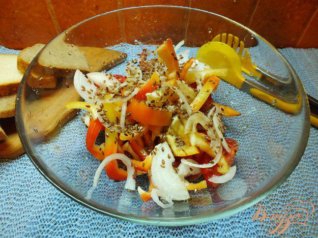 фото рецепта: Салат из красных овощей и семян льна