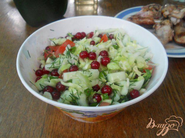 фото рецепта: Капустный салатик с красной смородиной
