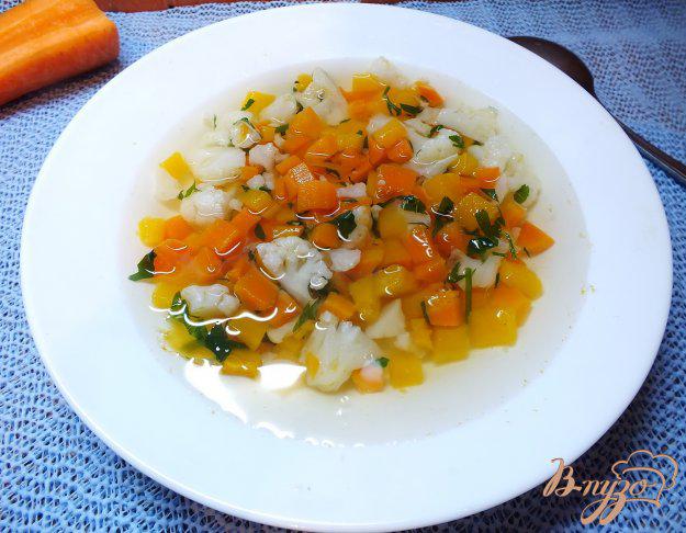 фото рецепта: Суп из полу сырых овощей витаминный