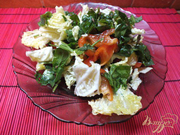фото рецепта: Салат из болгарского перца и листовой зелени с кунжутный маслом
