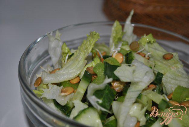 фото рецепта: Салат с пророщенной чечевицей и зеленью