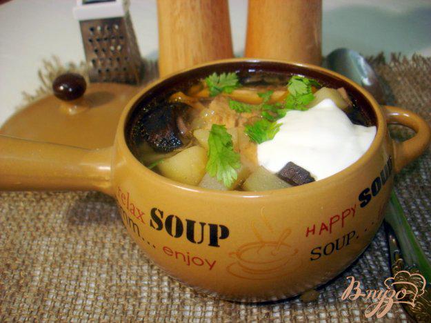 фото рецепта: Суп с лесными грибами на курином бульоне