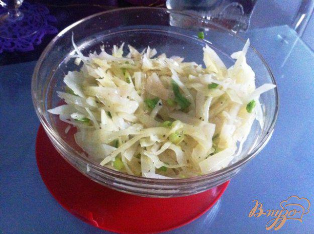 фото рецепта: Салат из моченой капусты с зеленым луком