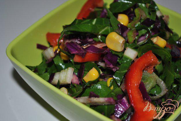 фото рецепта: Салат с красной капусты