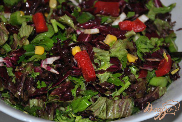 фото рецепта: Салат с красной капустой