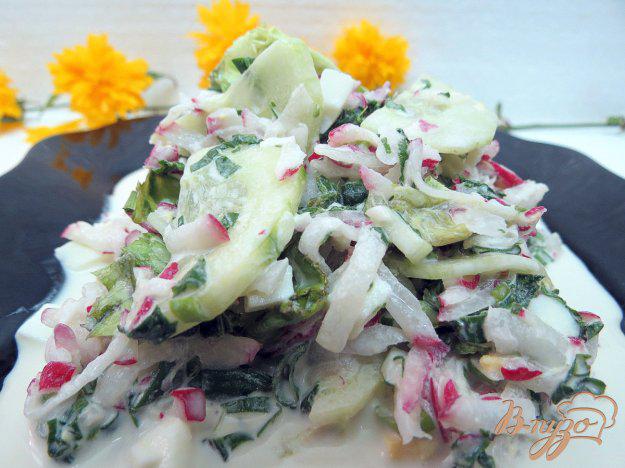 фото рецепта: Салат из ботвы редиса, огурца и редиса