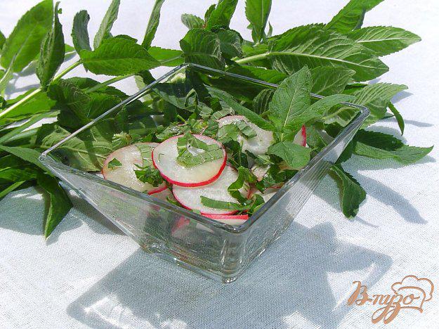 фото рецепта: Салат из редиса, мяты и зелени