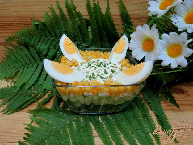 фото рецепта: Салат из огурца, щавеля и кукурузы