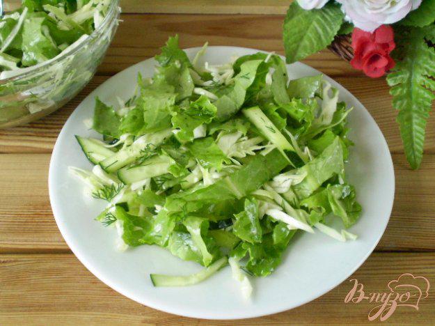 фото рецепта: Салат с молодой капустой и салатом