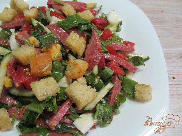 фото рецепта: Салат из овощей колбасы и сухариков