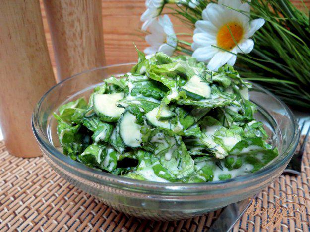 фото рецепта: Салат из листьев салата с огурцом и горчичной заправкой
