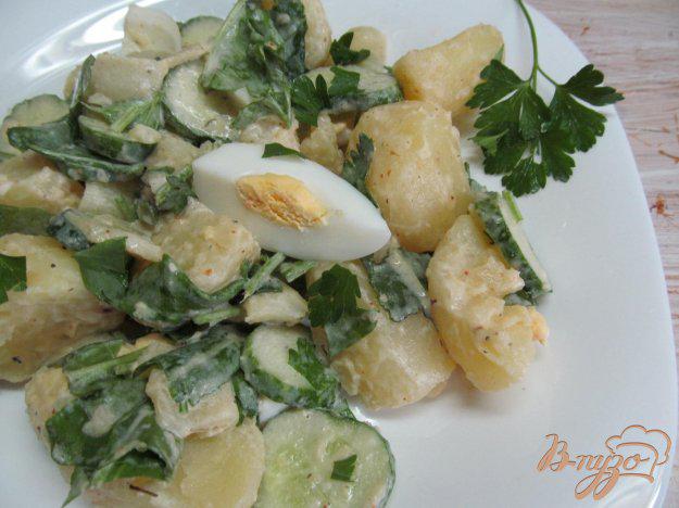 фото рецепта: Теплый салат с молодым картофеле щавелем и паприкой