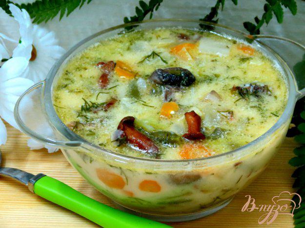 фото рецепта: Летний овощной суп с сырочками и грибами