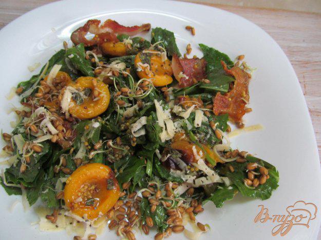 фото рецепта: Салат с абрикосом щавелем и ростками пшеницы