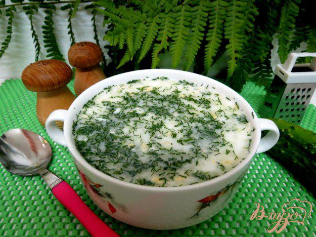 фото рецепта: Холодный суп на кефире и минералке