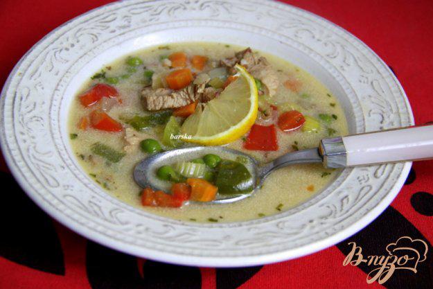 фото рецепта: Венгерский куриный суп  с овощами