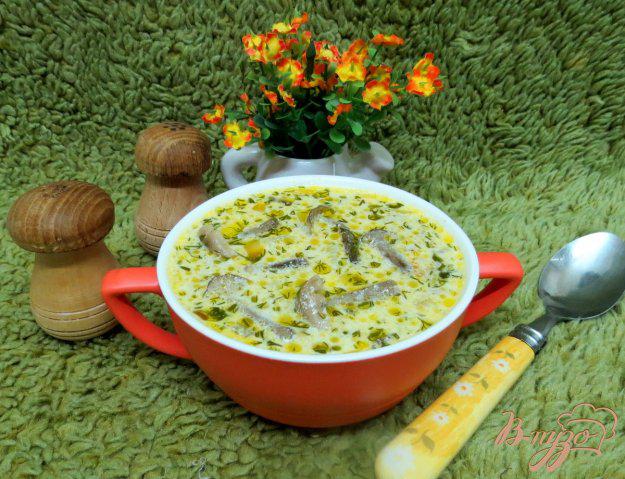 фото рецепта: Суп с опятами и со сметаной
