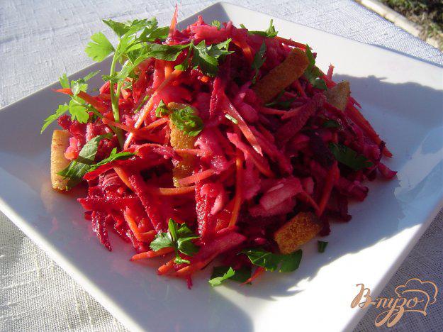 фото рецепта: Салат из свежих моркови, свеклы, яблока с сыром и сухариками