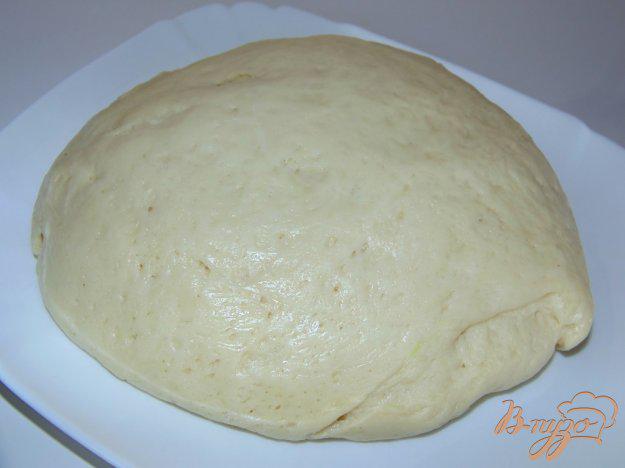 фото рецепта: Нежное дрожжевое тесто на кефире для духовых пирожков
