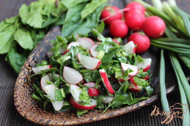 фото рецепта: Салат с редисом, луком и шпинатом