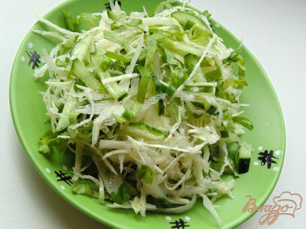 фото рецепта: Капустный салат с листьями салата и огурцом