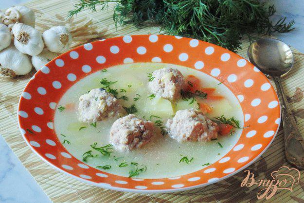 фото рецепта: Суп с освяными хлопьями и фрикадельками